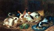 unknow artist Rabbits 116 France oil painting artist